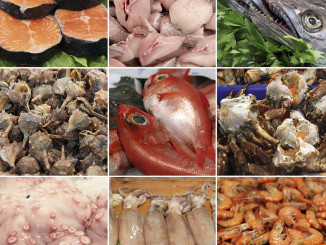 Spanish Frozen Market - Pescanova's Fall Seriously Impacted the Industry