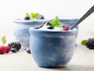 Frozen Yogurt Market to Grow in North America