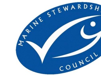 MSC to Finance Fisheries Sustainability Fund