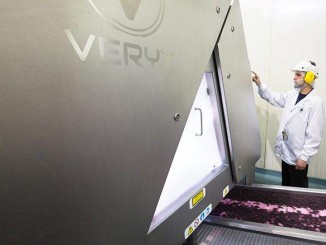 Key Technology: Sorters for Frozen Berries