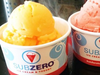 Sub Zero Ice Cream Plans Aggressive Expansion