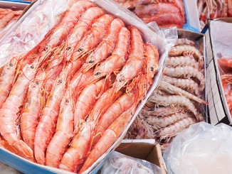 Global Frozen Seafood Market Expands