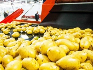 Lamb Weston Opens Fries Plant in Russia