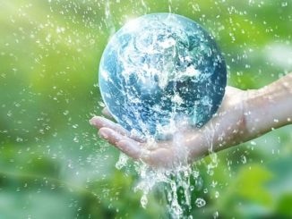 Foodservice Savings Are of Great Importance