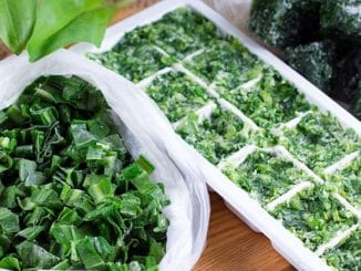 2019 Global Food and Drink Trends