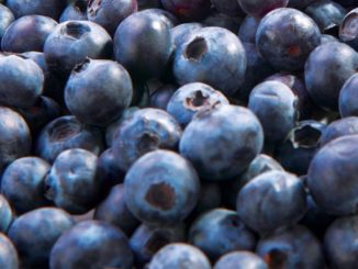 Oxford Frozen Foods Seeks to Upgrade Packaging Line